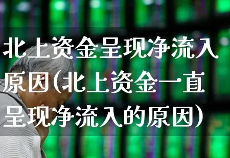 北上资金呈现净流入原因(北上资金一直呈现净流入的原因)_https://www.fzdzcxj.com_北交所_第1张