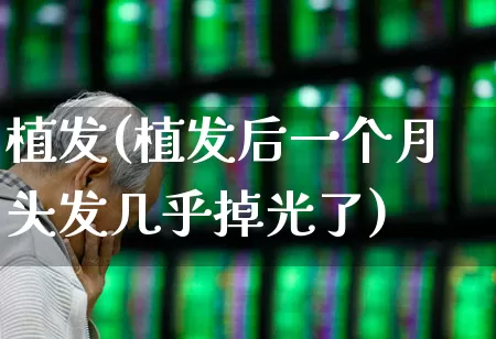 植发(植发后一个月头发几乎掉光了)_https://www.fzdzcxj.com_上交所_第1张