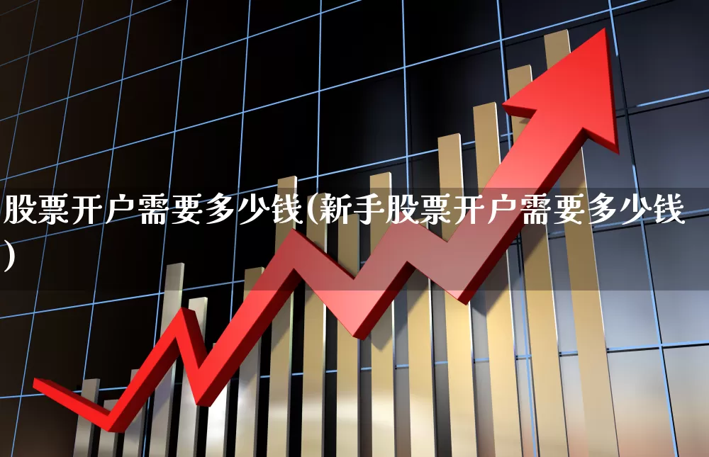 股票开户需要多少钱(新手股票开户需要多少钱)_https://www.fzdzcxj.com_北交所_第1张