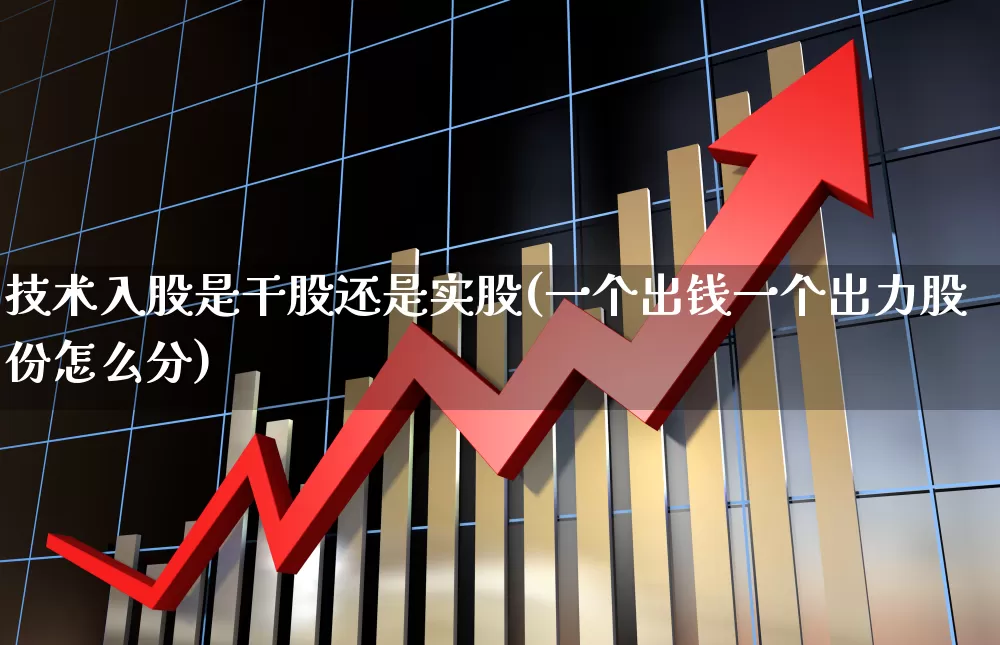 技术入股是干股还是实股(一个出钱一个出力股份怎么分)_https://www.fzdzcxj.com_上交所_第1张