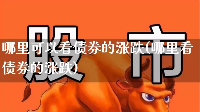 哪里可以看债券的涨跌(哪里看债券的涨跌)_https://www.fzdzcxj.com_创业板_第1张