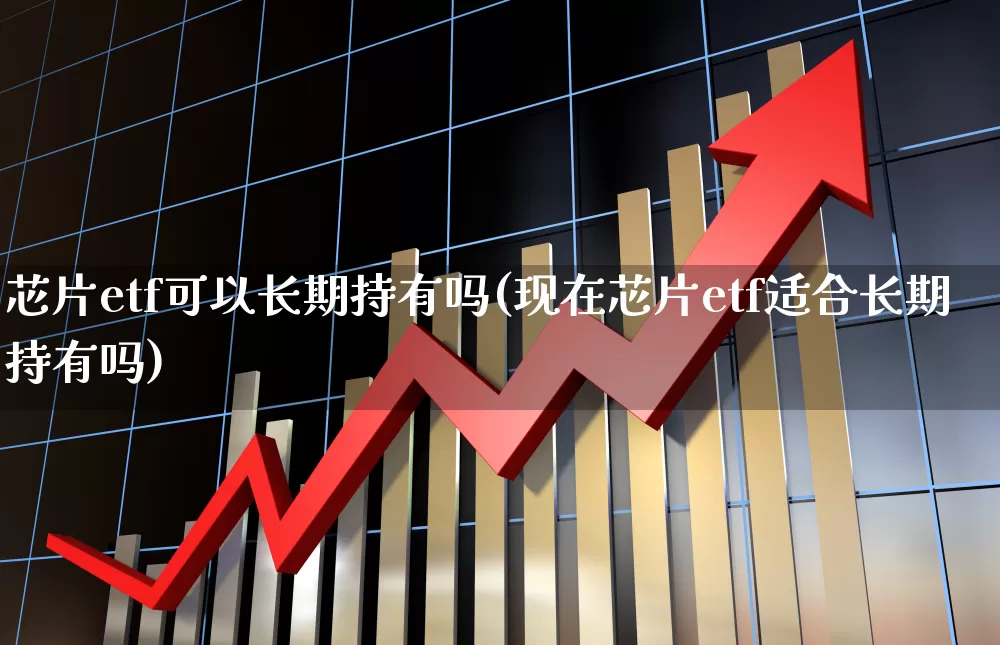 芯片etf可以长期持有吗(现在芯片etf适合长期持有吗)_https://www.fzdzcxj.com_深交所_第1张