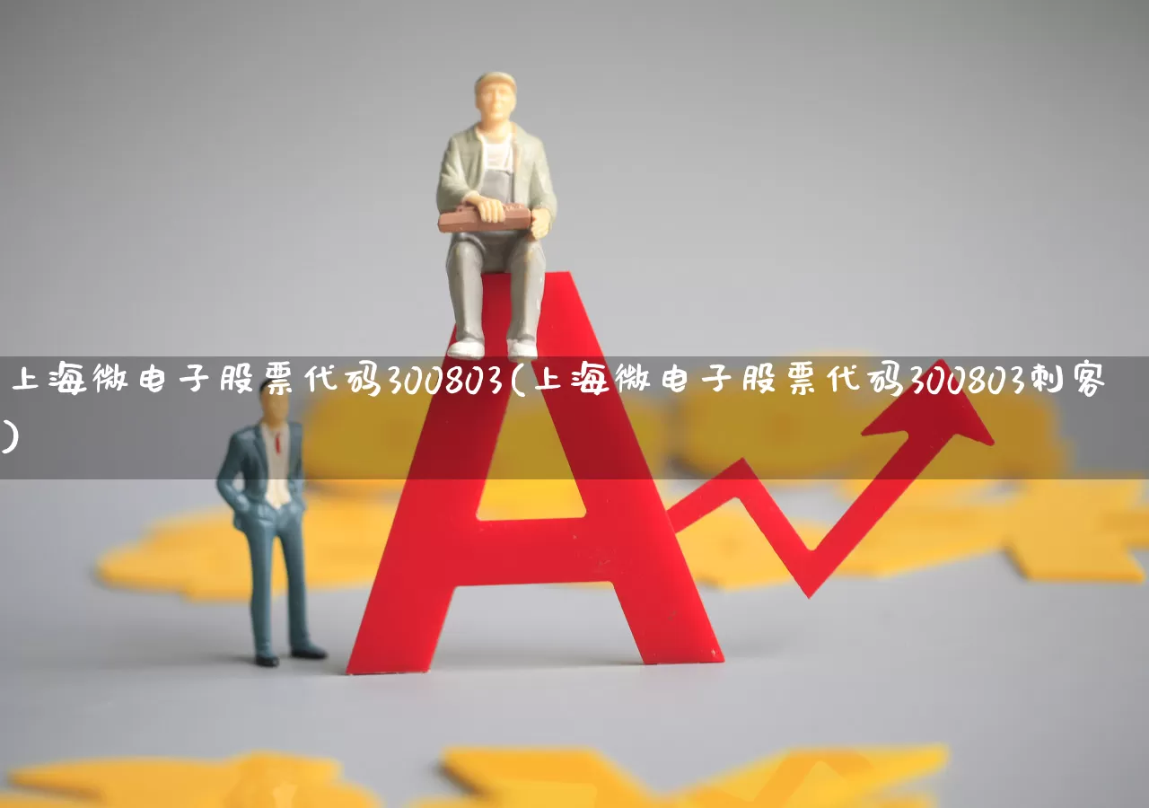 上海微电子股票代码300803(上海微电子股票代码300803刺客)_https://www.fzdzcxj.com_北交所_第1张
