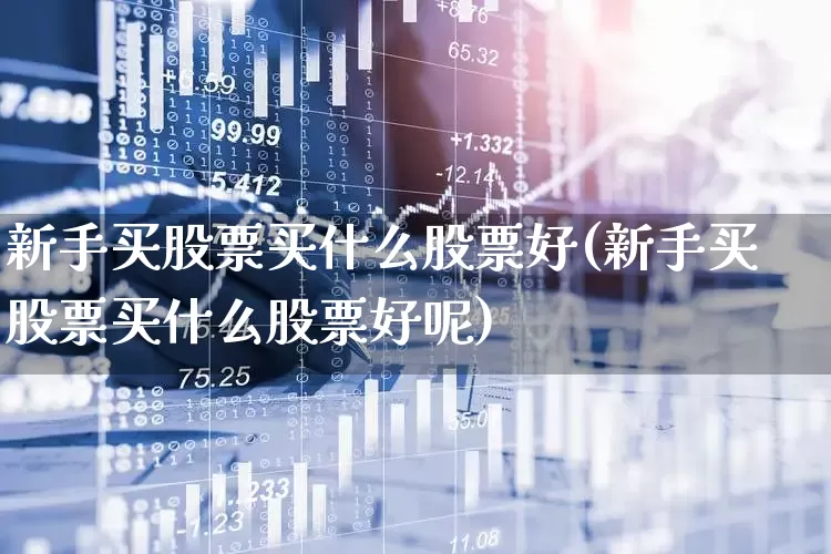 新手买股票买什么股票好(新手买股票买什么股票好呢)_https://www.fzdzcxj.com_科创板_第1张