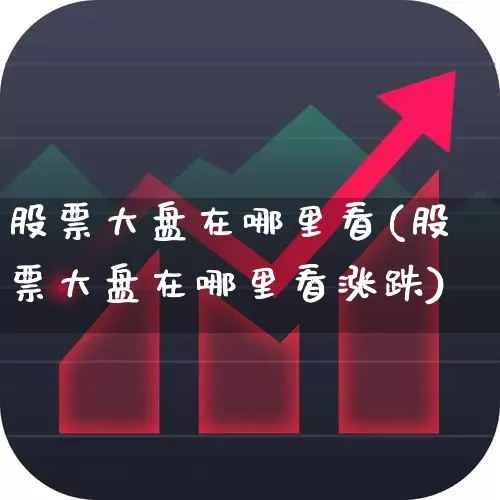 股票大盘在哪里看(股票大盘在哪里看涨跌)_https://www.fzdzcxj.com_上交所_第1张