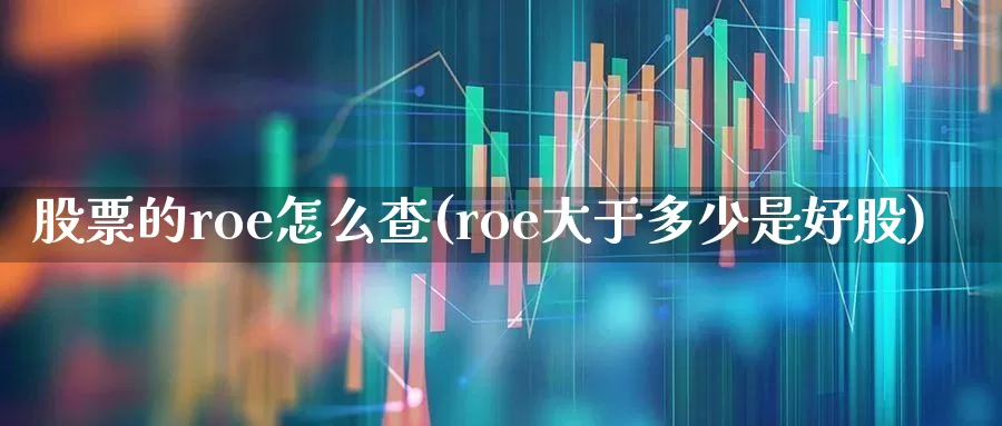 股票的roe怎么查(roe大于多少是好股)_https://www.fzdzcxj.com_深交所_第1张