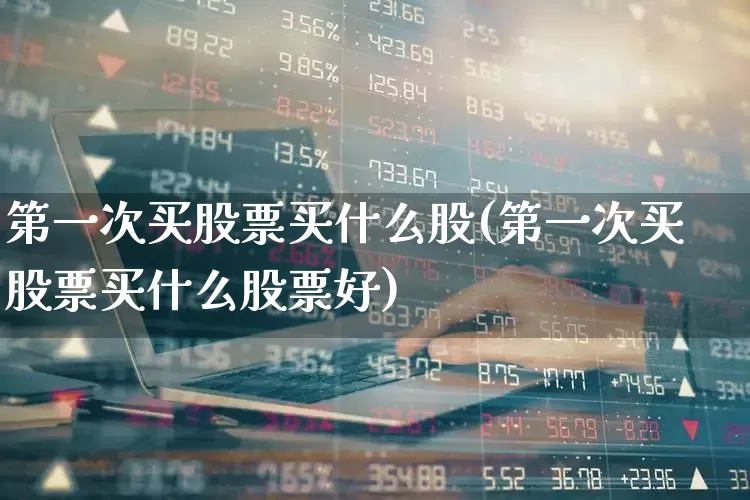 第一次买股票买什么股(第一次买股票买什么股票好)_https://www.fzdzcxj.com_创业板_第1张