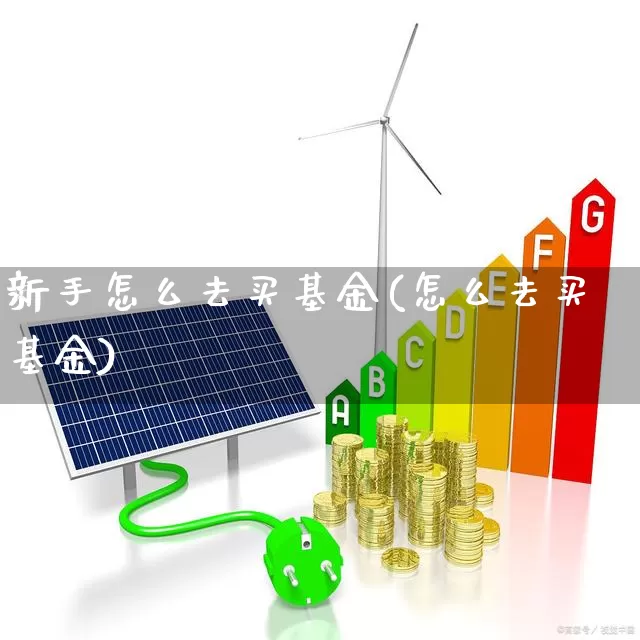 新手怎么去买基金(怎么去买基金)_https://www.fzdzcxj.com_上交所_第1张