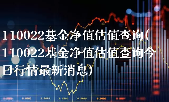 110022基金净值估值查询(110022基金净值估值查询今日行情最新消息)_https://www.fzdzcxj.com_深交所_第1张