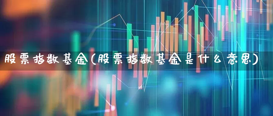 股票指数基金(股票指数基金是什么意思)_https://www.fzdzcxj.com_创业板_第1张