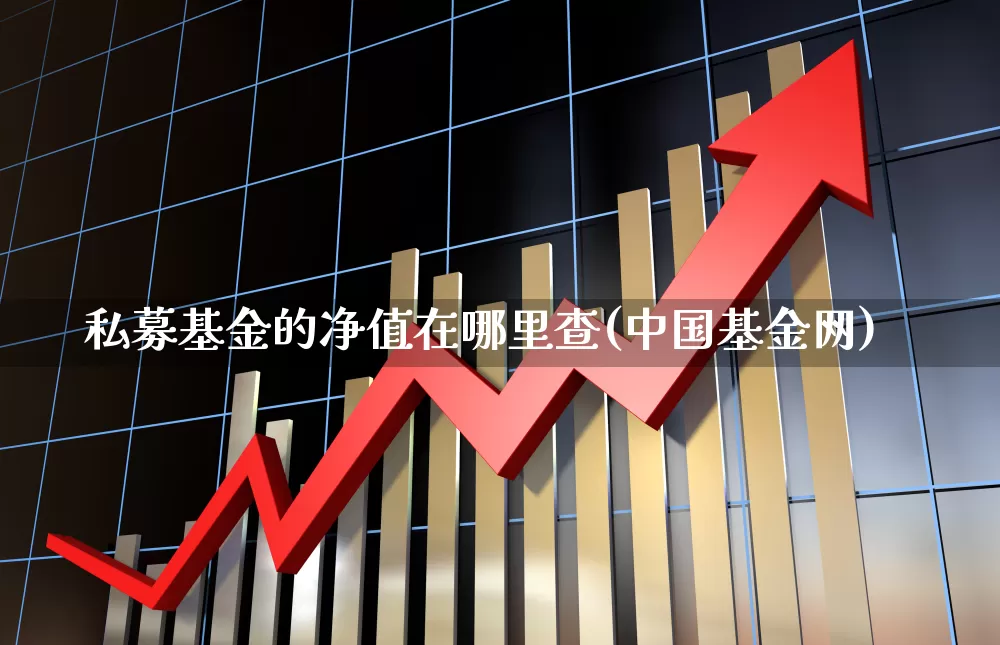 私募基金的净值在哪里查(中国基金网)_https://www.fzdzcxj.com_科创板_第1张