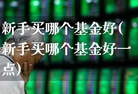 新手买哪个基金好(新手买哪个基金好一点)_https://www.fzdzcxj.com_科创板_第1张