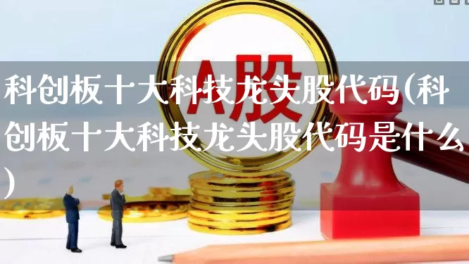 科创板十大科技龙头股代码(科创板十大科技龙头股代码是什么)_https://www.fzdzcxj.com_科创板_第1张
