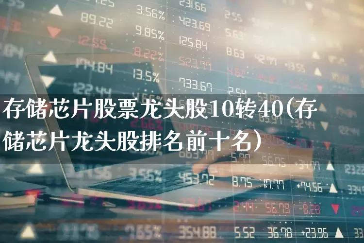 存储芯片股票龙头股10转40(存储芯片龙头股排名前十名)_https://www.fzdzcxj.com_深交所_第1张