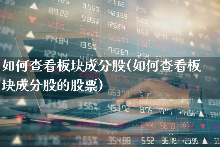 如何查看板块成分股(如何查看板块成分股的股票)_https://www.fzdzcxj.com_深交所_第1张
