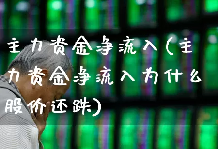 主力资金净流入(主力资金净流入为什么股价还跌)_https://www.fzdzcxj.com_上交所_第1张