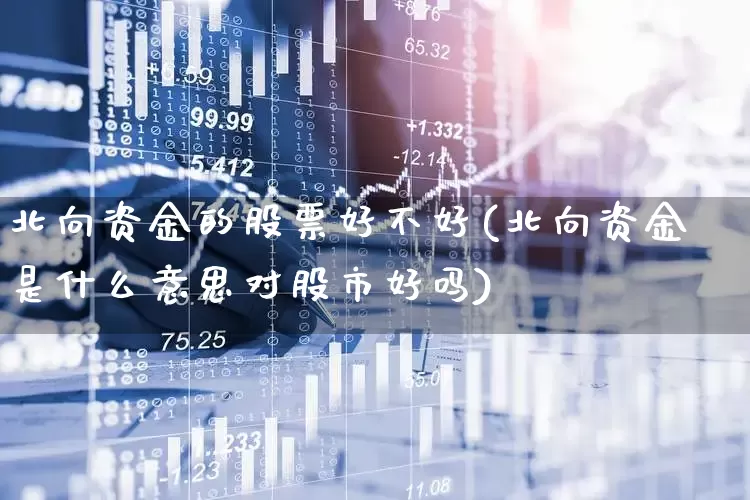 北向资金的股票好不好(北向资金是什么意思对股市好吗)_https://www.fzdzcxj.com_创业板_第1张