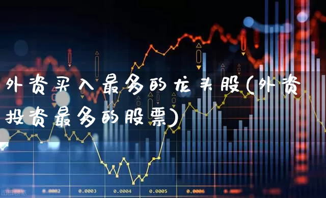 外资买入最多的龙头股(外资投资最多的股票)_https://www.fzdzcxj.com_北交所_第1张