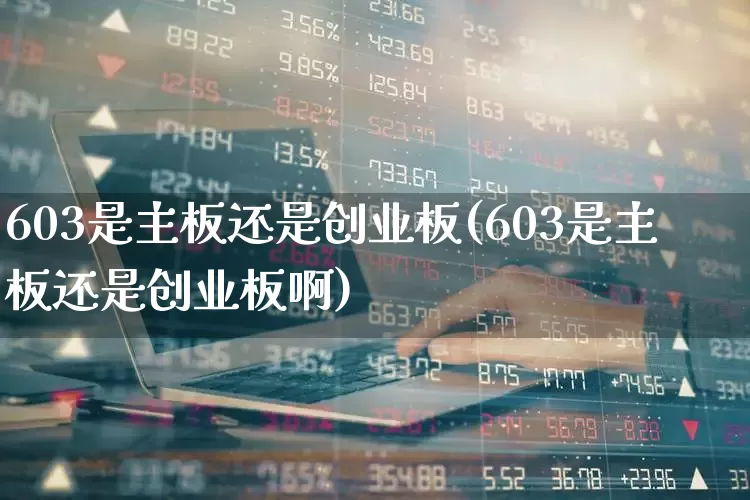 603是主板还是创业板(603是主板还是创业板啊)_https://www.fzdzcxj.com_科创板_第1张