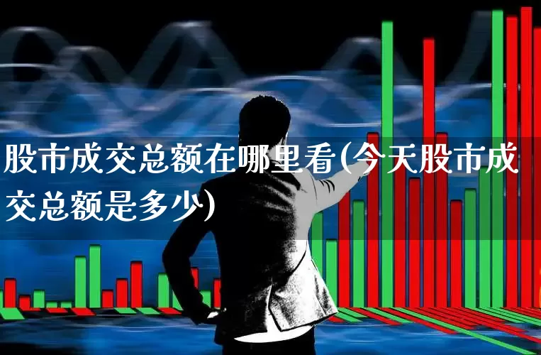 股市成交总额在哪里看(今天股市成交总额是多少)_https://www.fzdzcxj.com_创业板_第1张