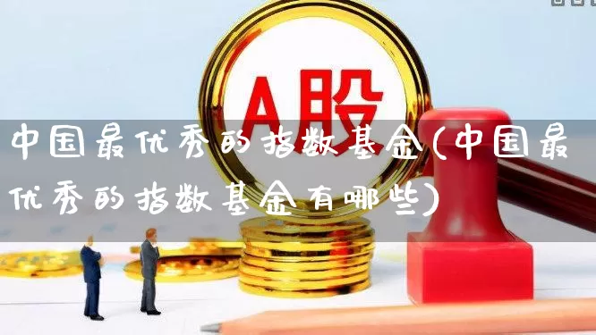 中国最优秀的指数基金(中国最优秀的指数基金有哪些)_https://www.fzdzcxj.com_上交所_第1张