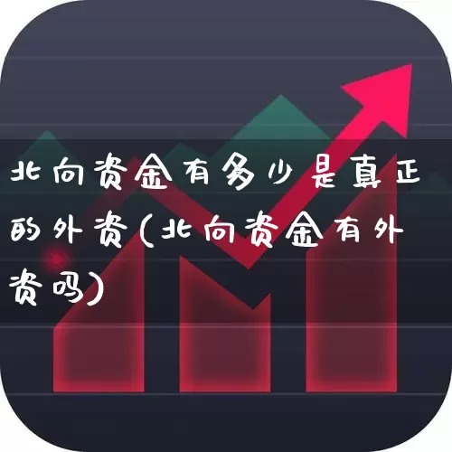 北向资金有多少是真正的外资(北向资金有外资吗)_https://www.fzdzcxj.com_科创板_第1张