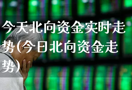 今天北向资金实时走势(今日北向资金走势)_https://www.fzdzcxj.com_上交所_第1张