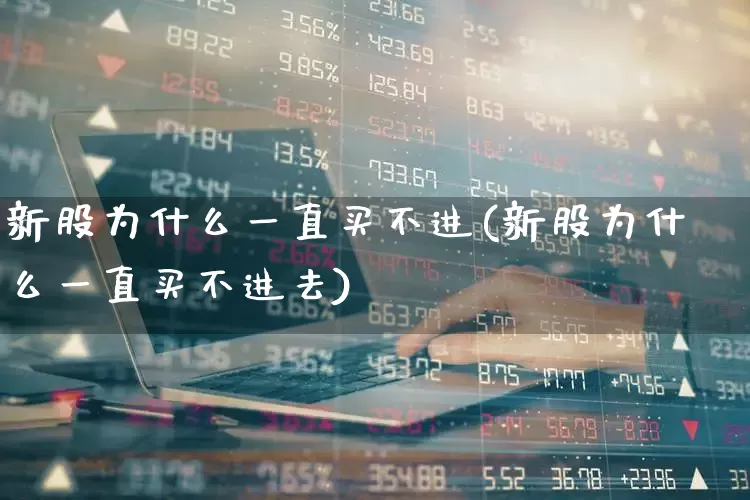 新股为什么一直买不进(新股为什么一直买不进去)_https://www.fzdzcxj.com_北交所_第1张
