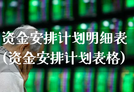 资金安排计划明细表(资金安排计划表格)_https://www.fzdzcxj.com_深交所_第1张