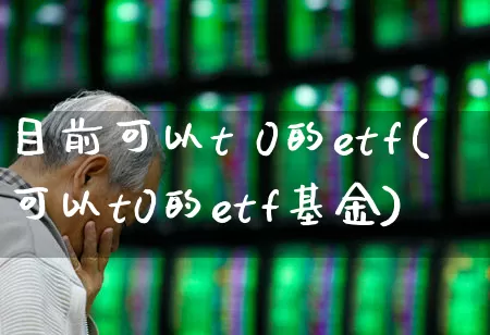 目前可以t 0的etf(可以t0的etf基金)_https://www.fzdzcxj.com_科创板_第1张
