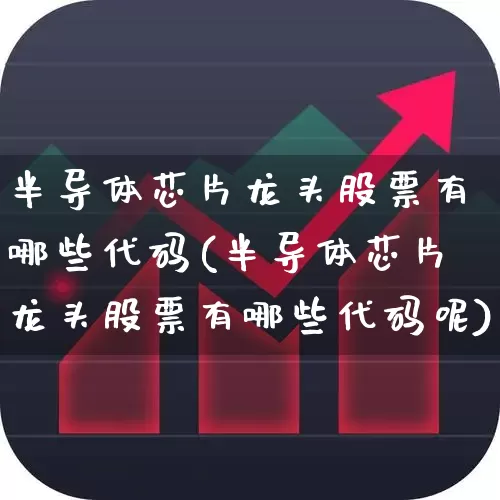 半导体芯片龙头股票有哪些代码(半导体芯片龙头股票有哪些代码呢)_https://www.fzdzcxj.com_北交所_第1张