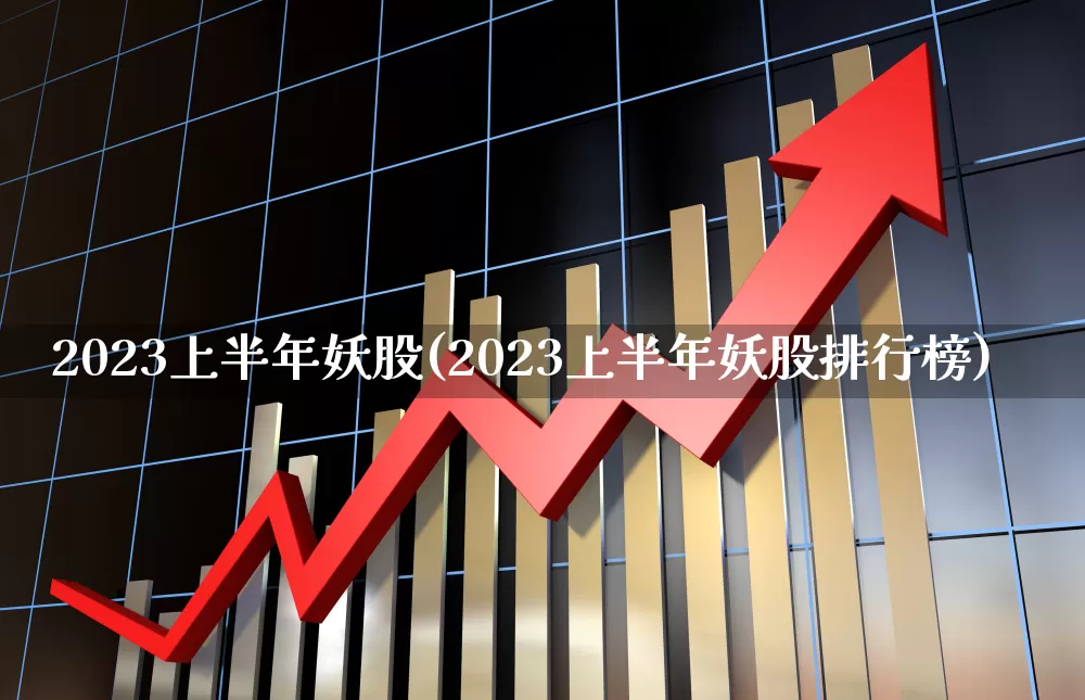 2023上半年妖股(2023上半年妖股排行榜)_https://www.fzdzcxj.com_北交所_第1张