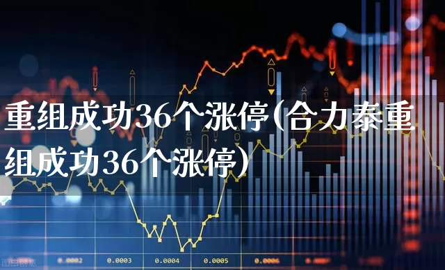 重组成功36个涨停(合力泰重组成功36个涨停)_https://www.fzdzcxj.com_上交所_第1张