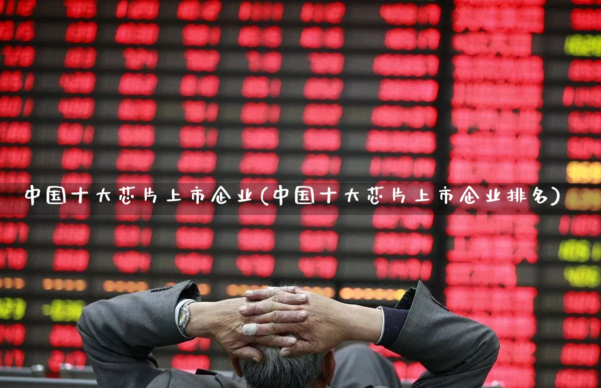 中国十大芯片上市企业(中国十大芯片上市企业排名)_https://www.fzdzcxj.com_上交所_第1张