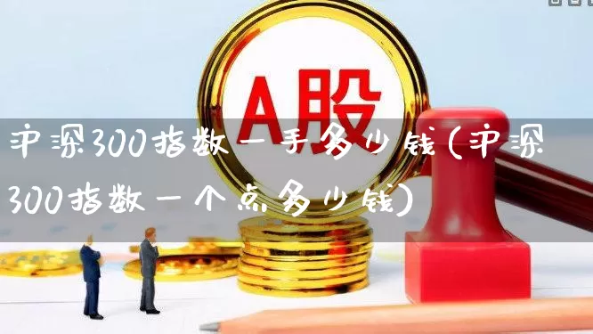 沪深300指数一手多少钱(沪深300指数一个点多少钱)_https://www.fzdzcxj.com_上交所_第1张