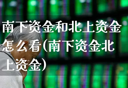 南下资金和北上资金怎么看(南下资金北上资金)_https://www.fzdzcxj.com_深交所_第1张