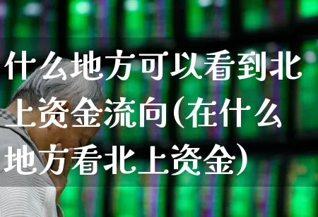 什么地方可以看到北上资金流向(在什么地方看北上资金)_https://www.fzdzcxj.com_北交所_第1张