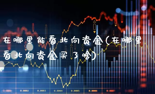 在哪里能看北向资金(在哪里看北向资金买了啥)_https://www.fzdzcxj.com_上交所_第1张