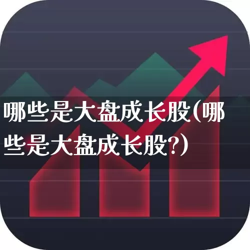 哪些是大盘成长股(哪些是大盘成长股?)_https://www.fzdzcxj.com_北交所_第1张