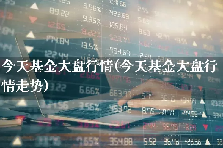 今天基金大盘行情(今天基金大盘行情走势)_https://www.fzdzcxj.com_科创板_第1张