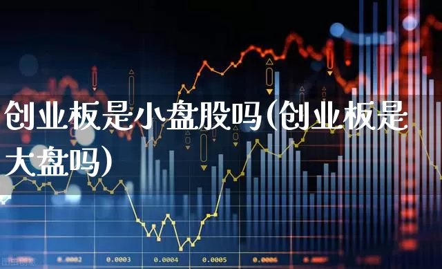 创业板是小盘股吗(创业板是大盘吗)_https://www.fzdzcxj.com_北交所_第1张