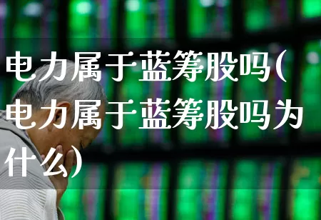 电力属于蓝筹股吗(电力属于蓝筹股吗为什么)_https://www.fzdzcxj.com_深交所_第1张