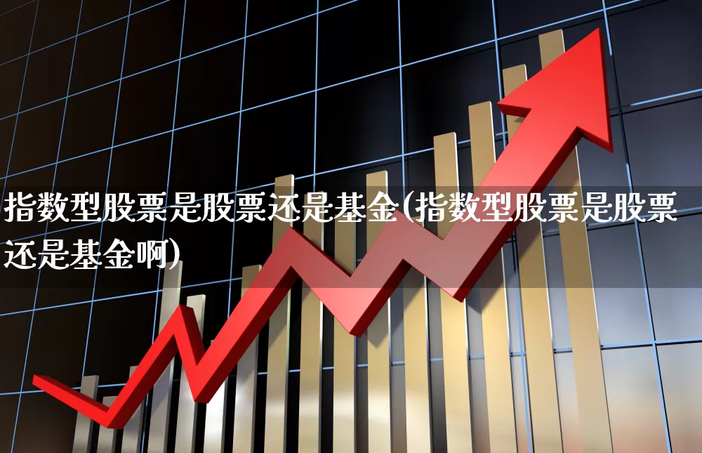 指数型股票是股票还是基金(指数型股票是股票还是基金啊)_https://www.fzdzcxj.com_创业板_第1张