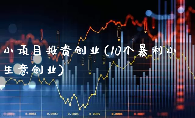 小项目投资创业(10个暴利小生意创业)_https://www.fzdzcxj.com_深交所_第1张