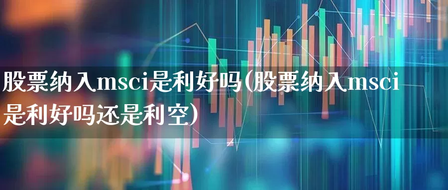 股票纳入msci是利好吗(股票纳入msci是利好吗还是利空)_https://www.fzdzcxj.com_科创板_第1张
