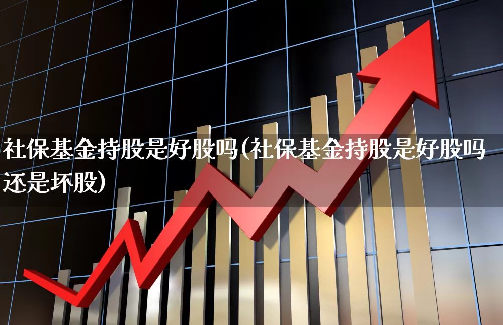 社保基金持股是好股吗(社保基金持股是好股吗还是坏股)_https://www.fzdzcxj.com_上交所_第1张