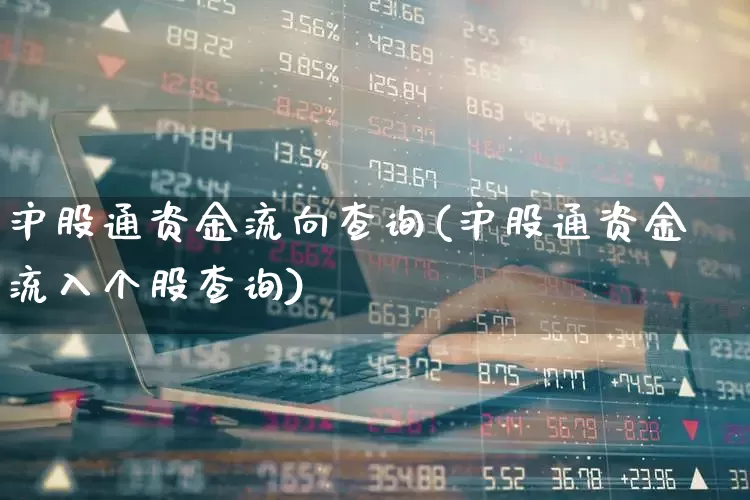 沪股通资金流向查询(沪股通资金流入个股查询)_https://www.fzdzcxj.com_深交所_第1张