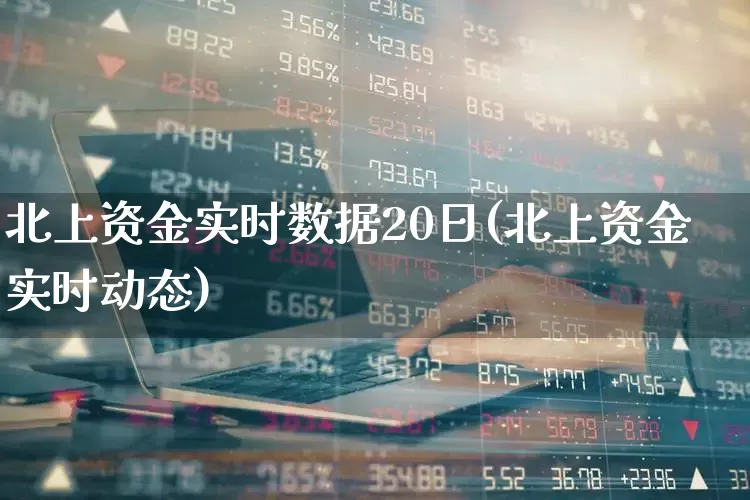 北上资金实时数据20日(北上资金实时动态)_https://www.fzdzcxj.com_北交所_第1张