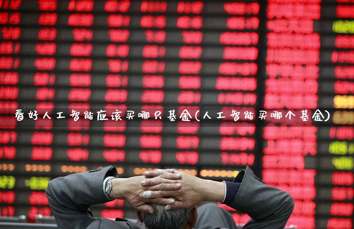 看好人工智能应该买哪只基金(人工智能买哪个基金)_https://www.fzdzcxj.com_科创板_第1张