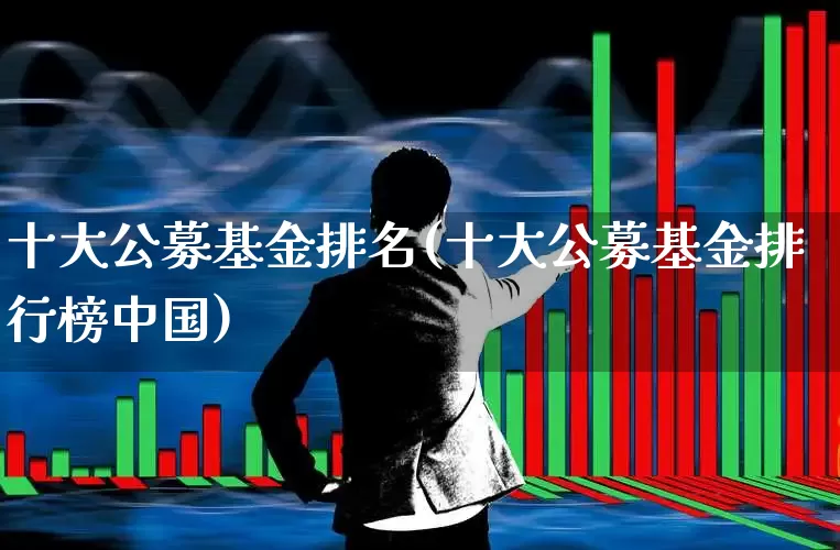 十大公募基金排名(十大公募基金排行榜中国)_https://www.fzdzcxj.com_北交所_第1张